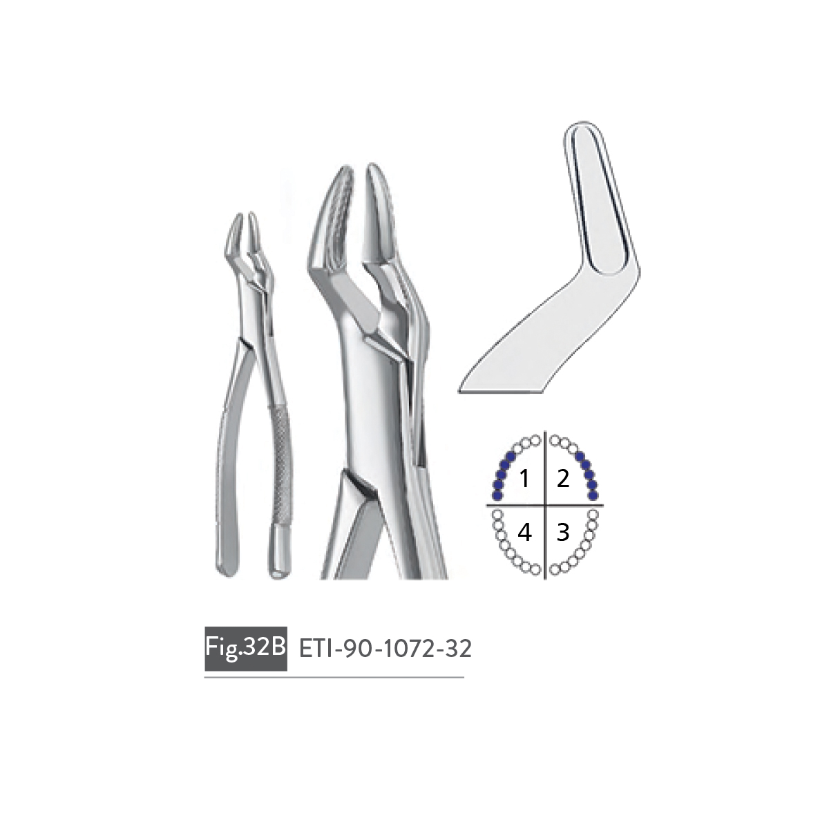 extracting-forceps69