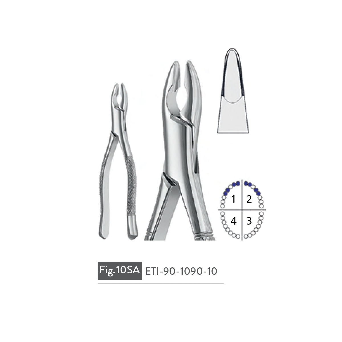 extracting-forceps72