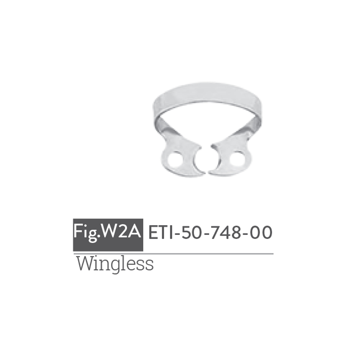 winged7