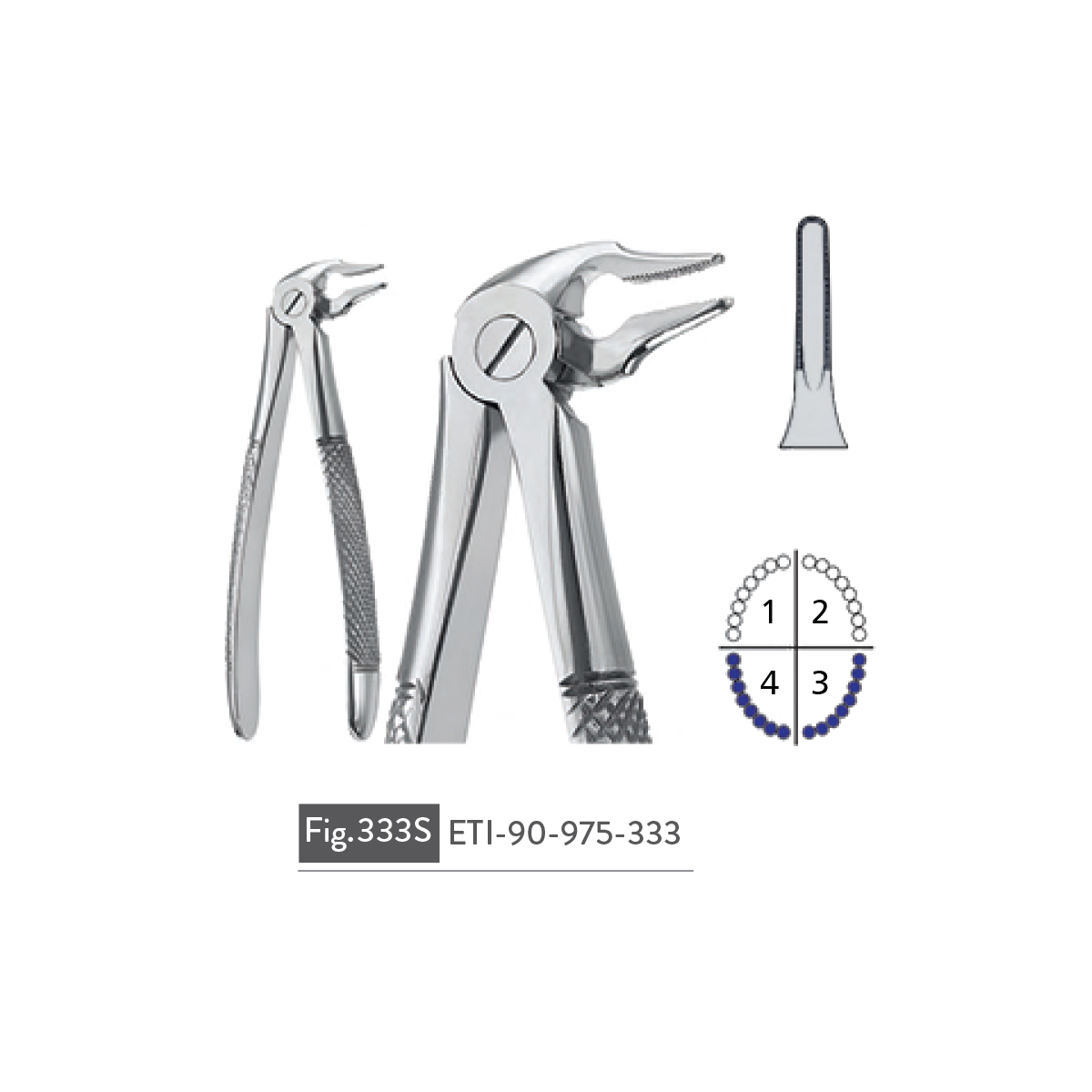 extracting-forceps27