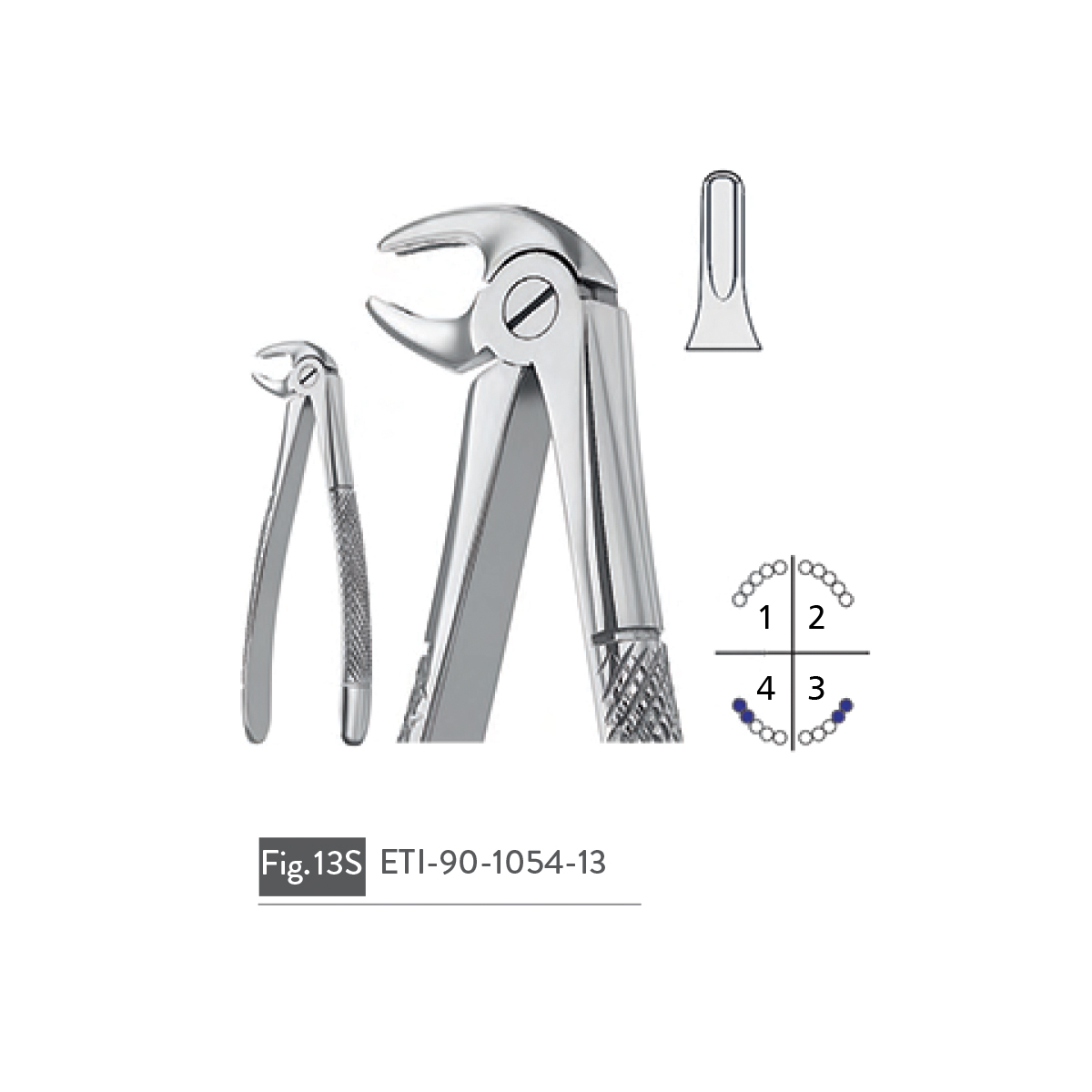 extracting-forceps55