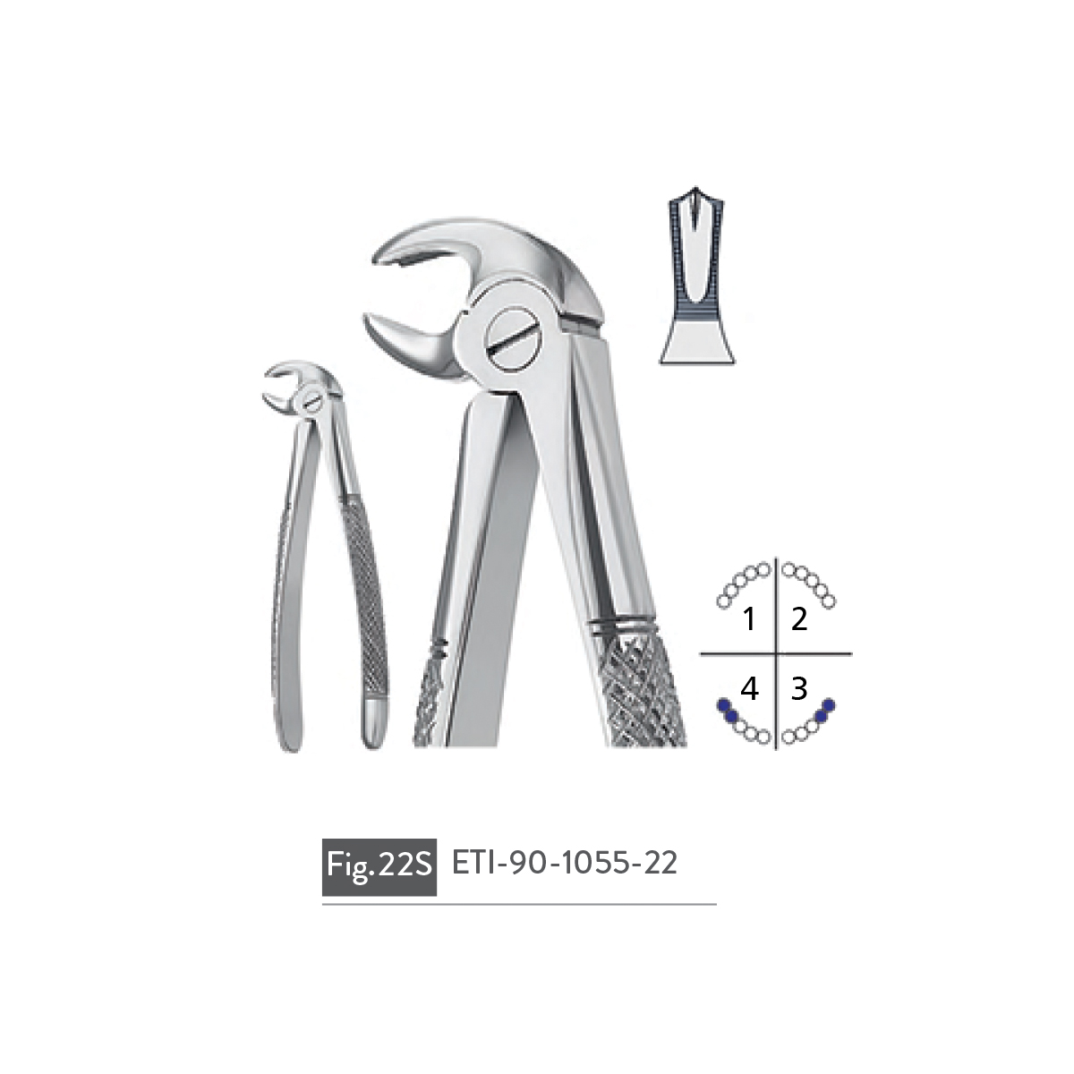 extracting-forceps56