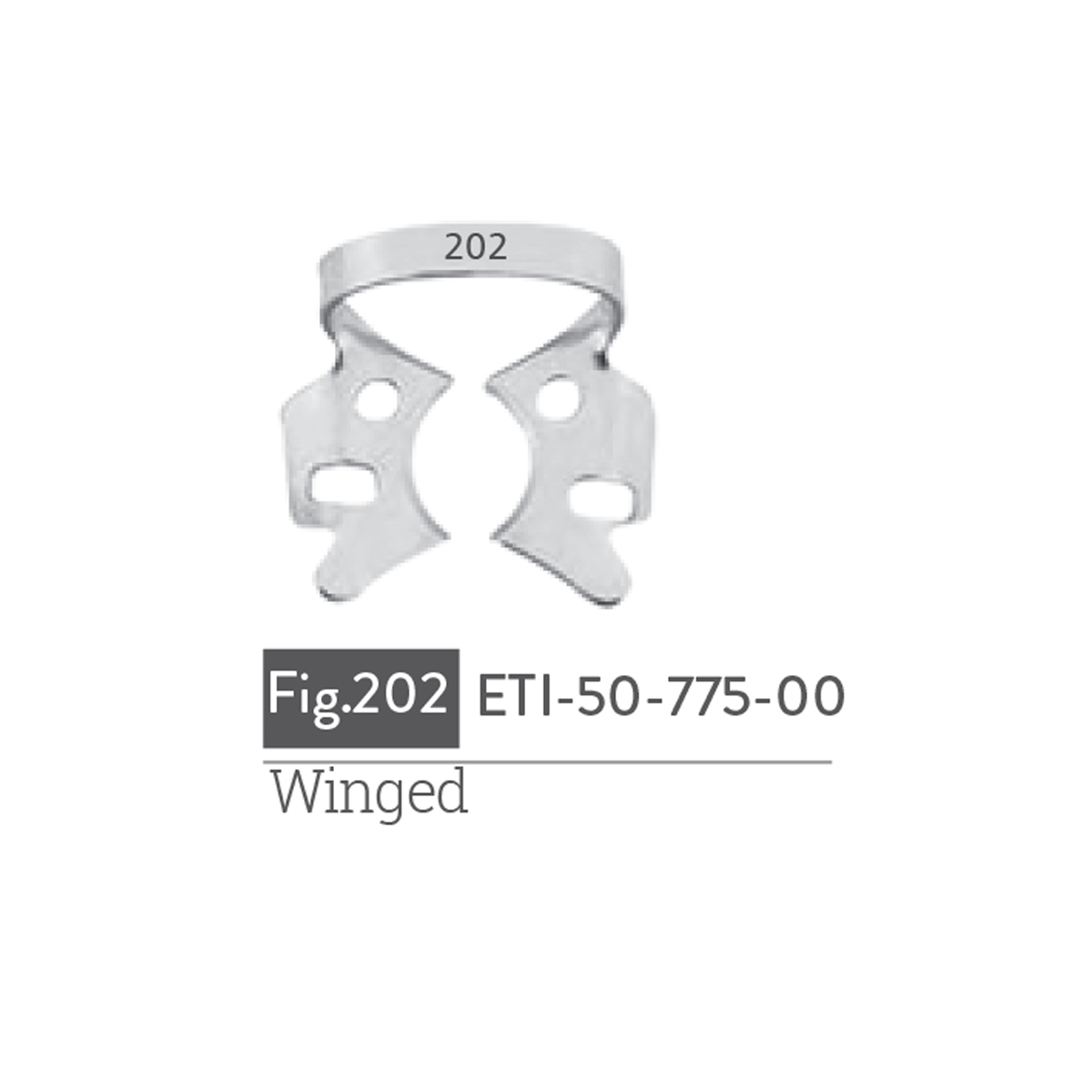 winged17