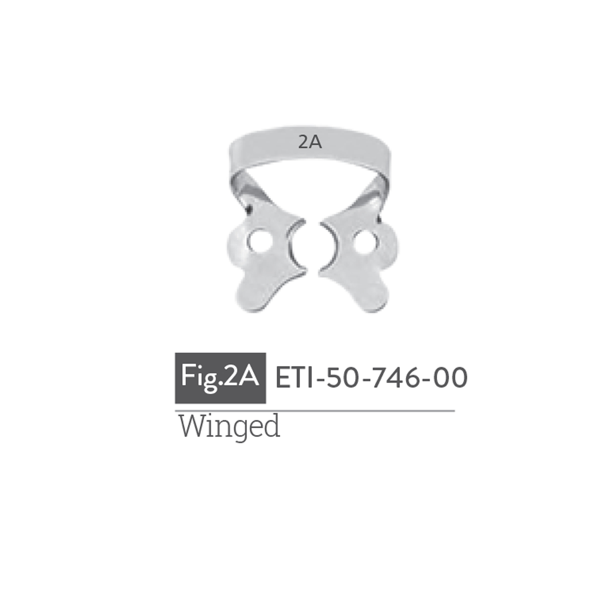 winged6