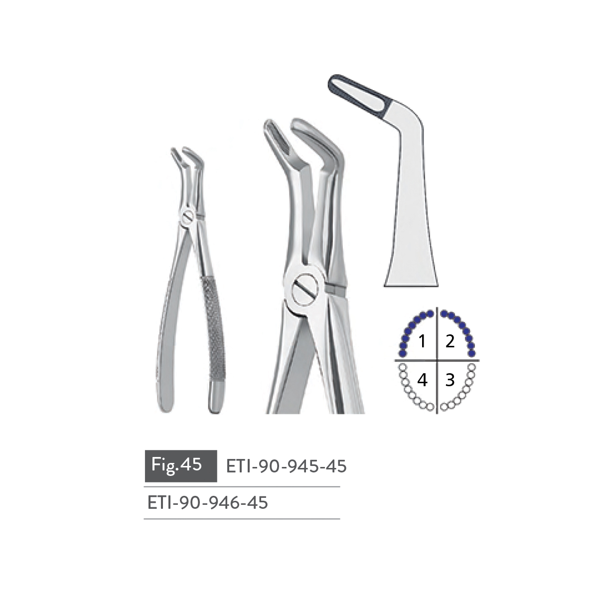 extracting-forceps16