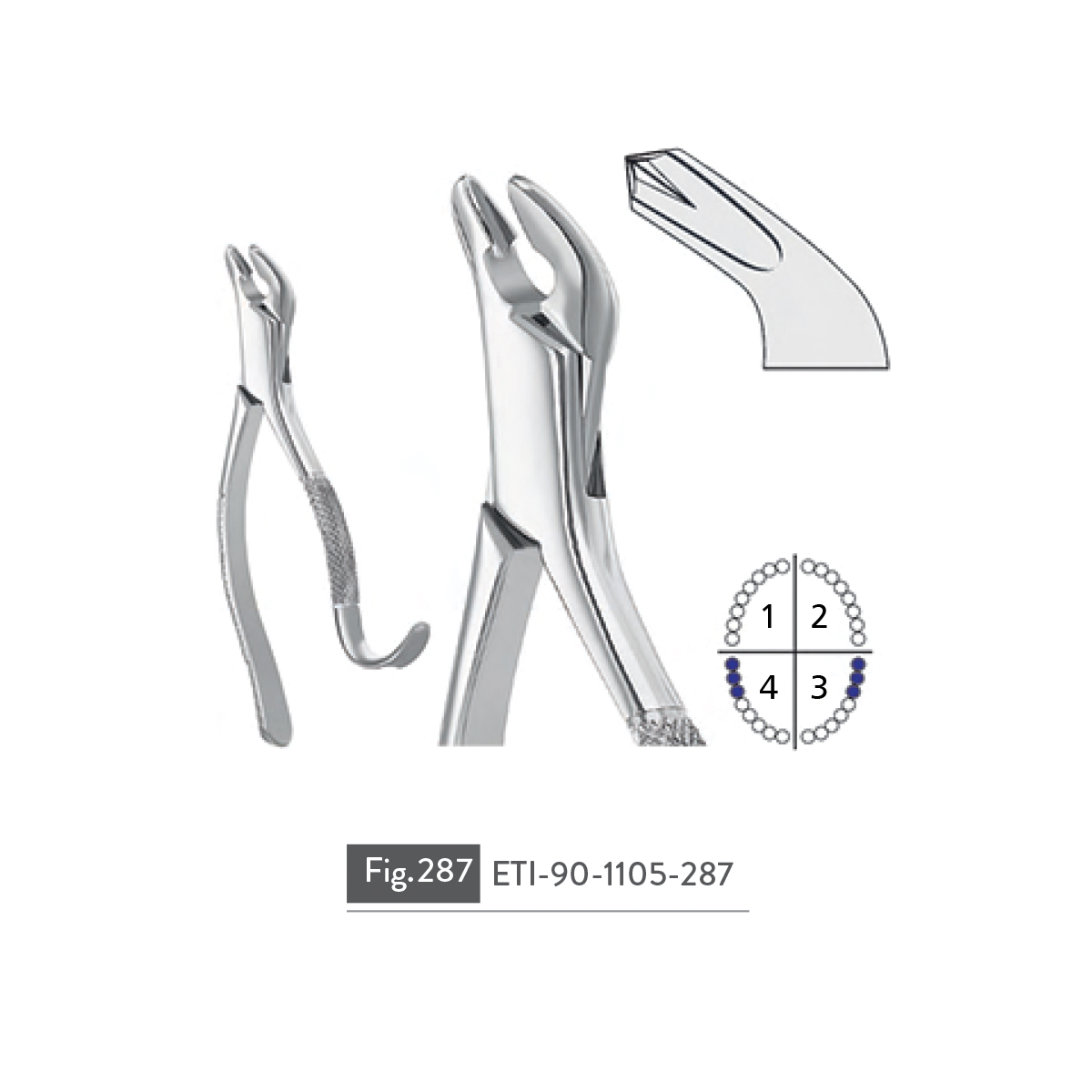 extracting-forceps80
