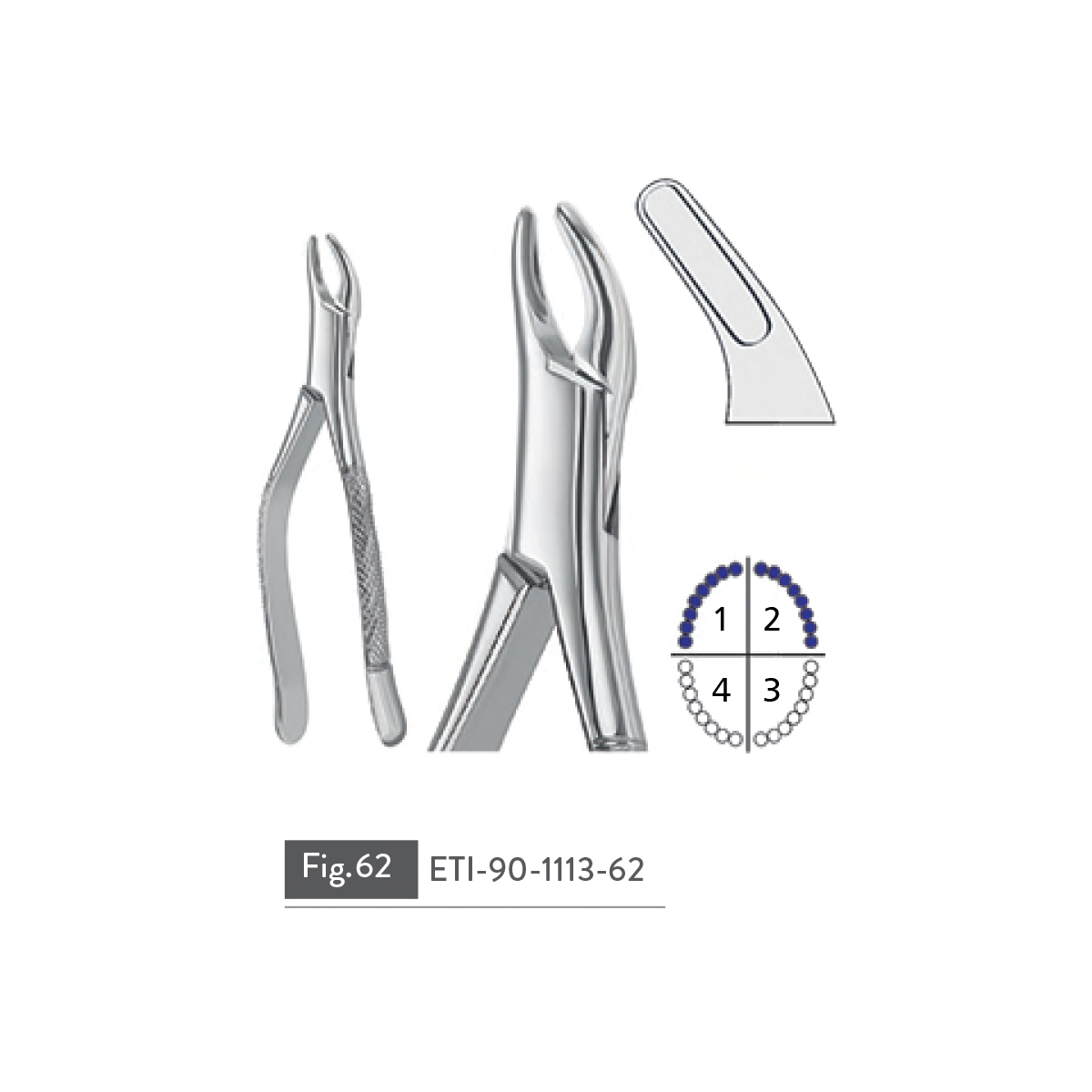 extracting-forceps86