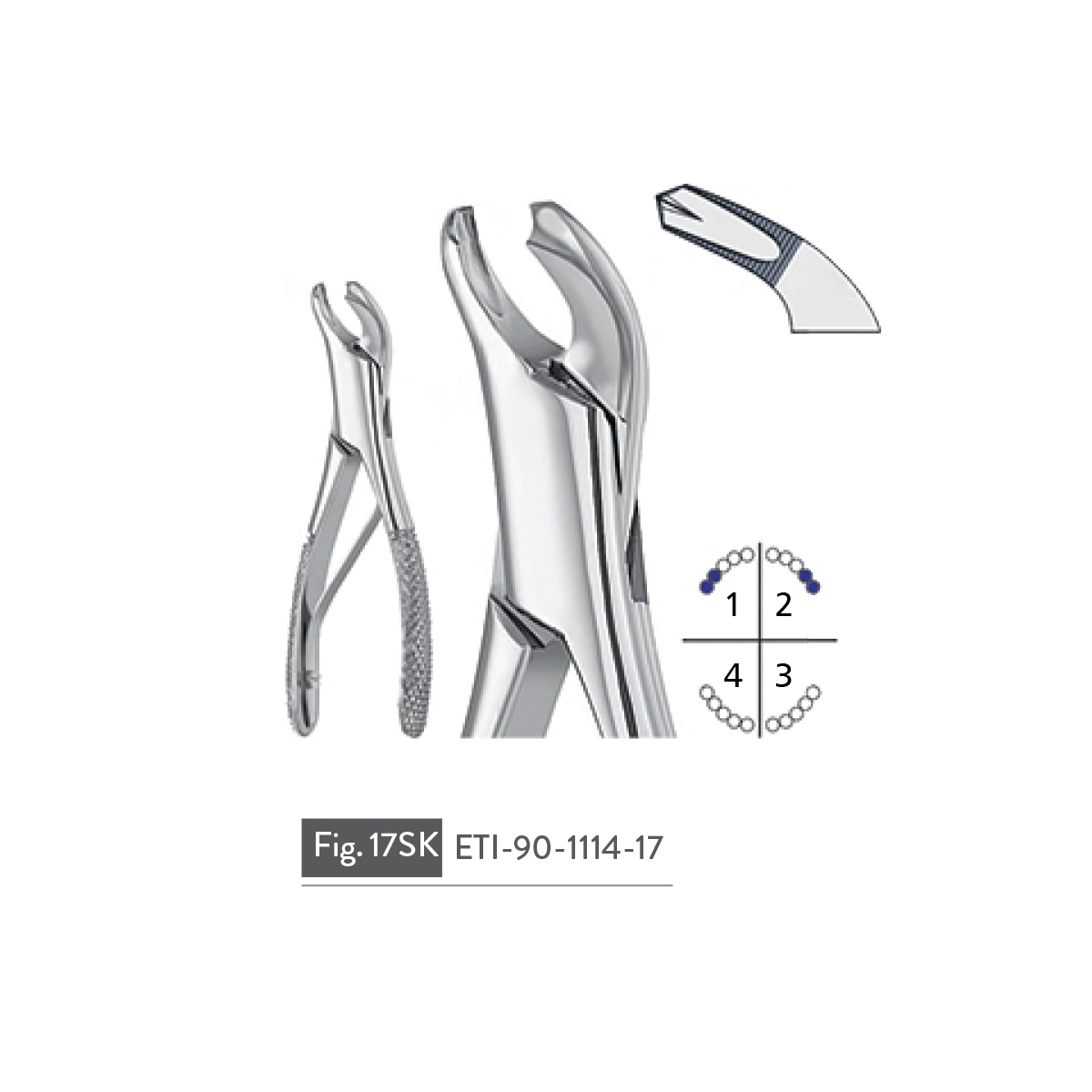 extracting-forceps87