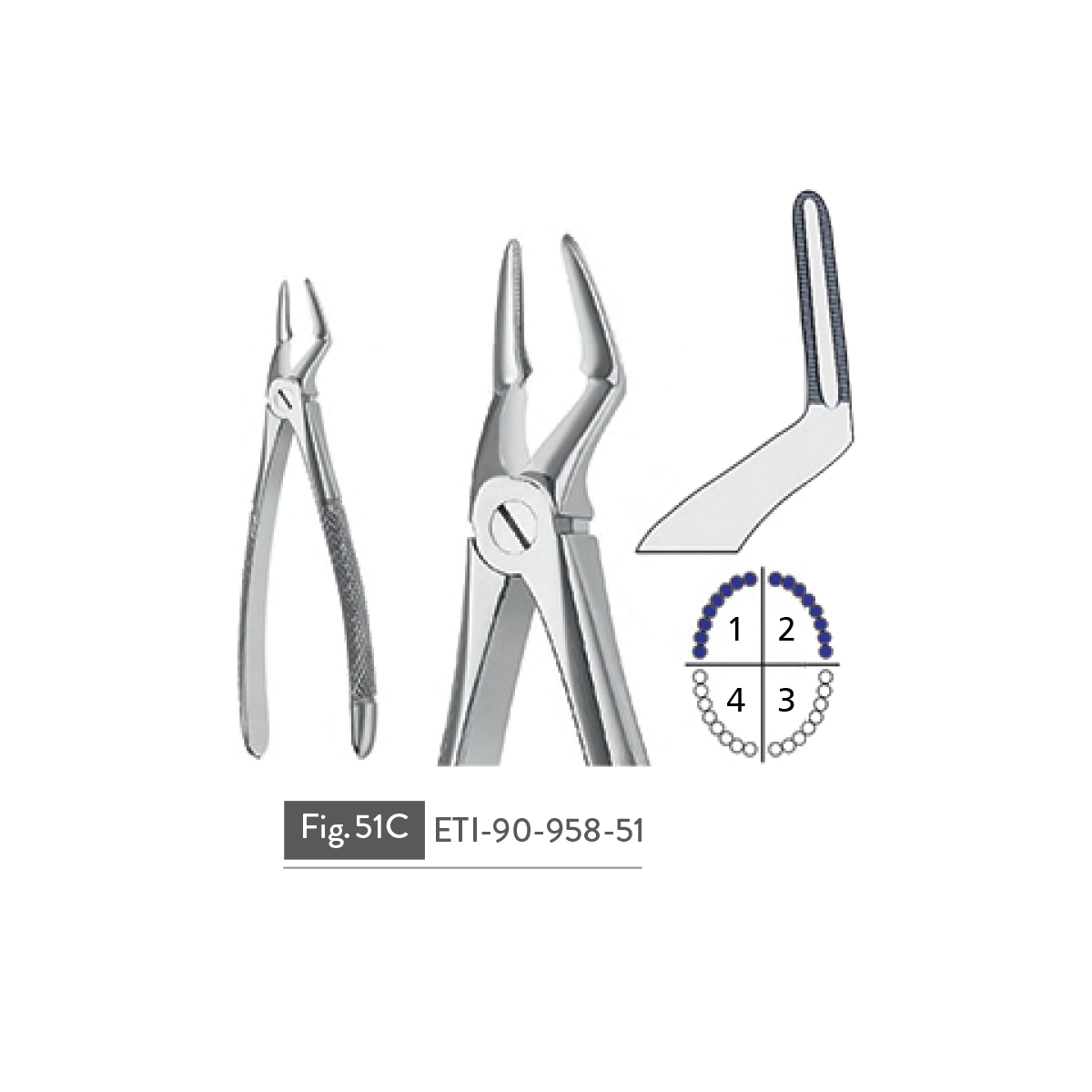 extracting-forceps19