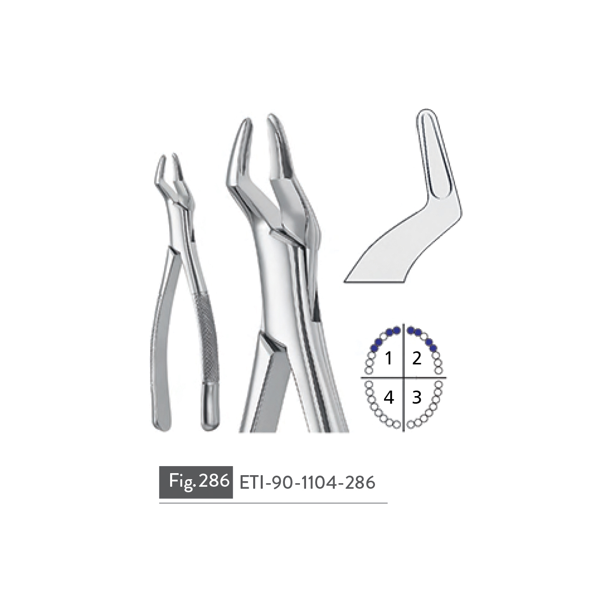 extracting-forceps79