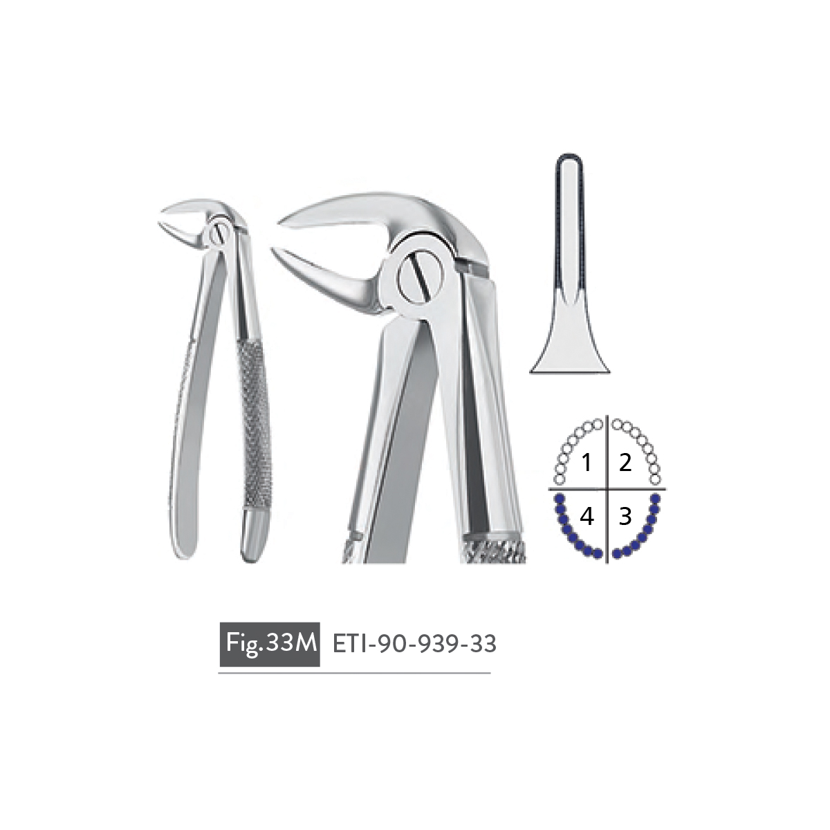 extracting-forceps14
