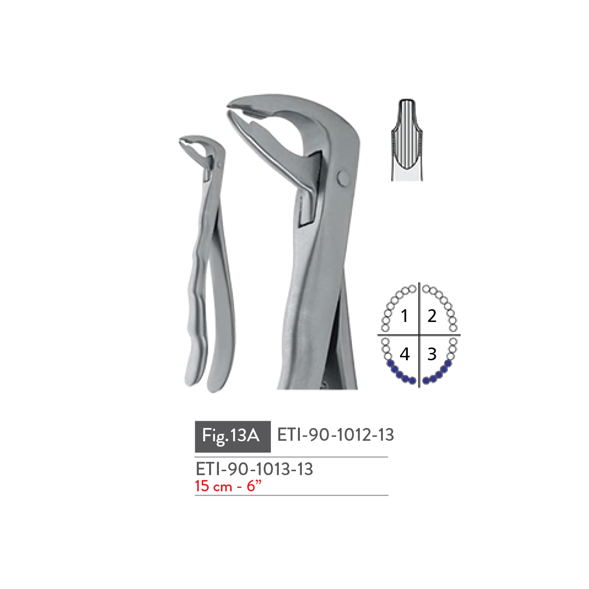 extracting-forceps47