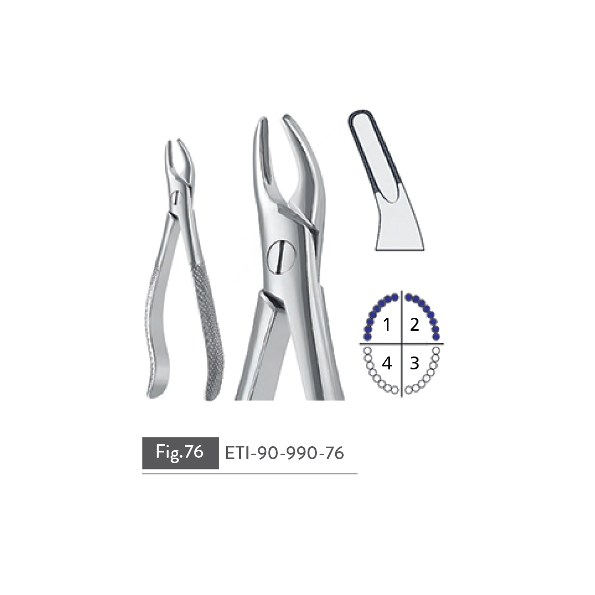 extracting-forceps35
