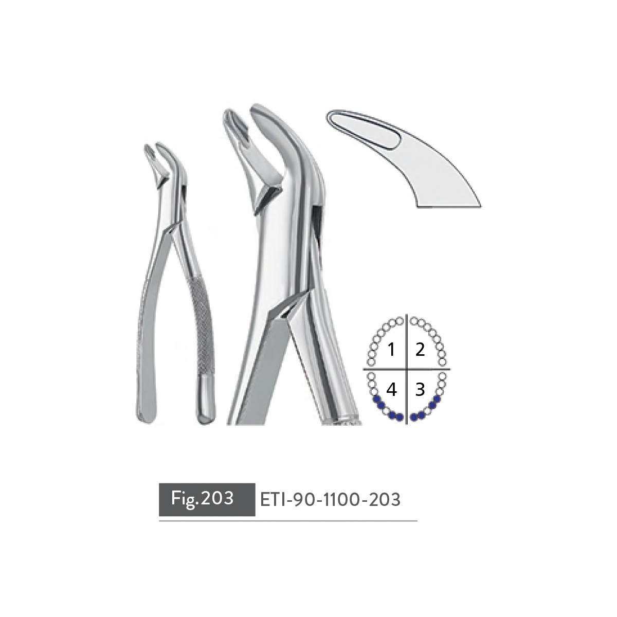 extracting-forceps75