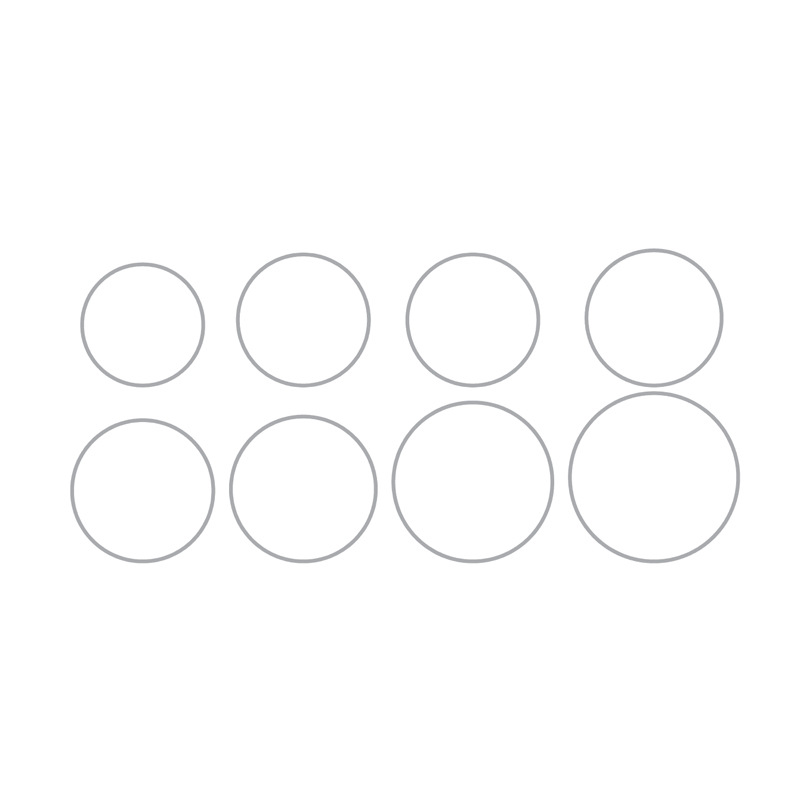 flieringa-scleral-fixation-ring
