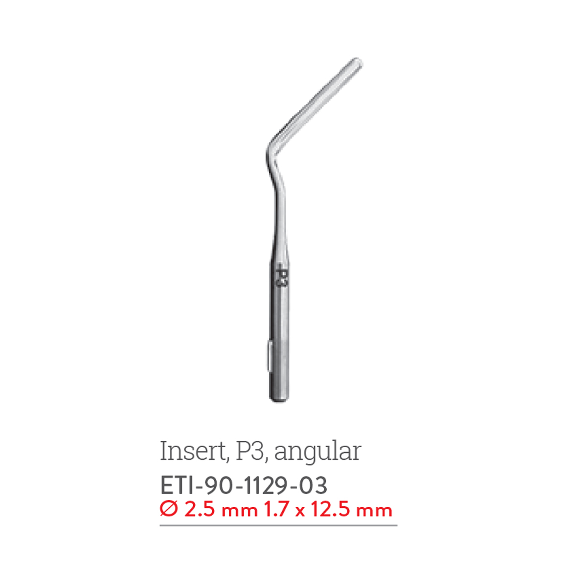 insert-p3-angular