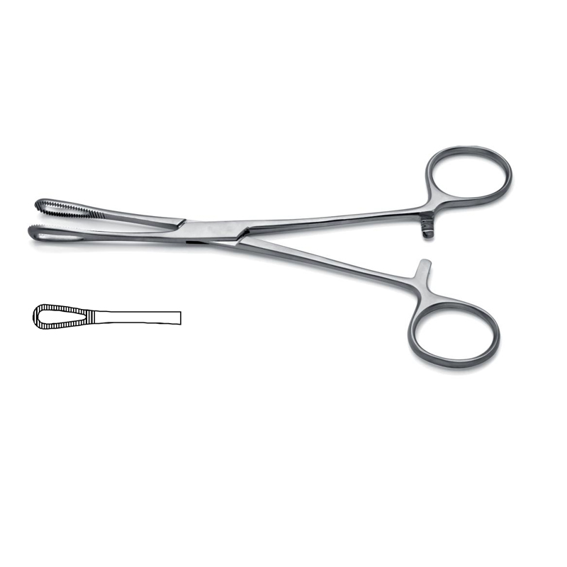 rampley-sponge-holding-forceps-straight