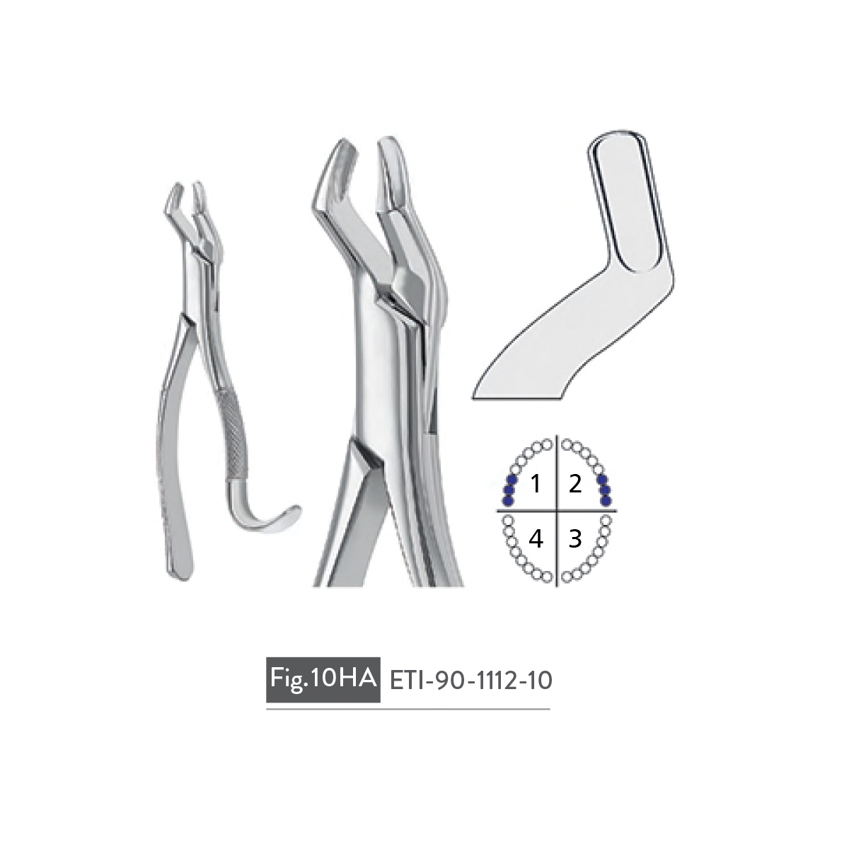 extracting-forceps85