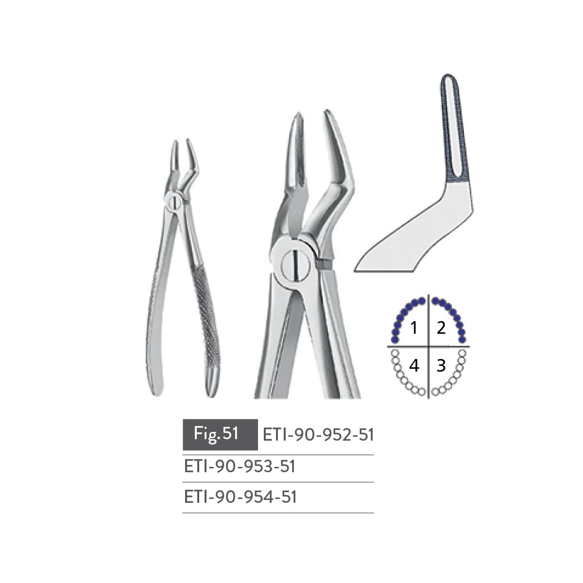 extracting-forceps17