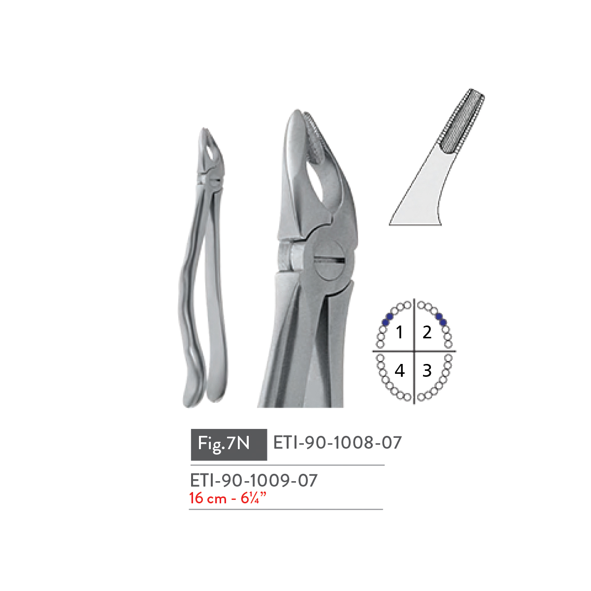 extracting-forceps45
