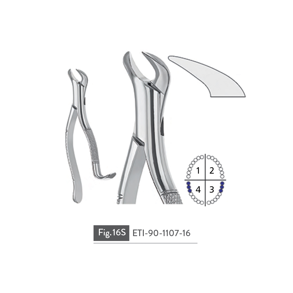 extracting-forceps82