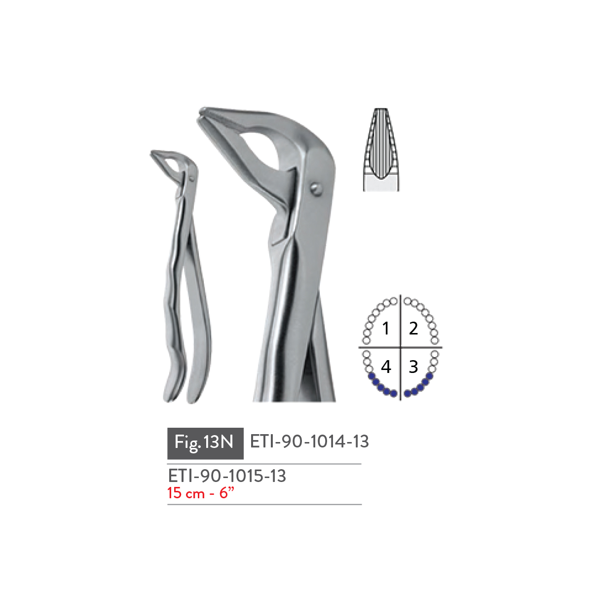 extracting-forceps48
