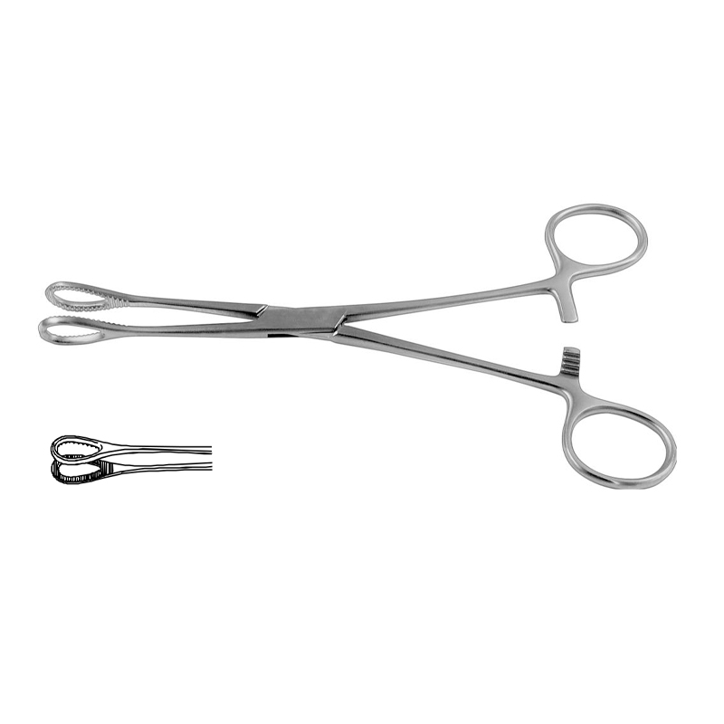 foerster-sponge-holding-forceps-straight-serrated-jaws