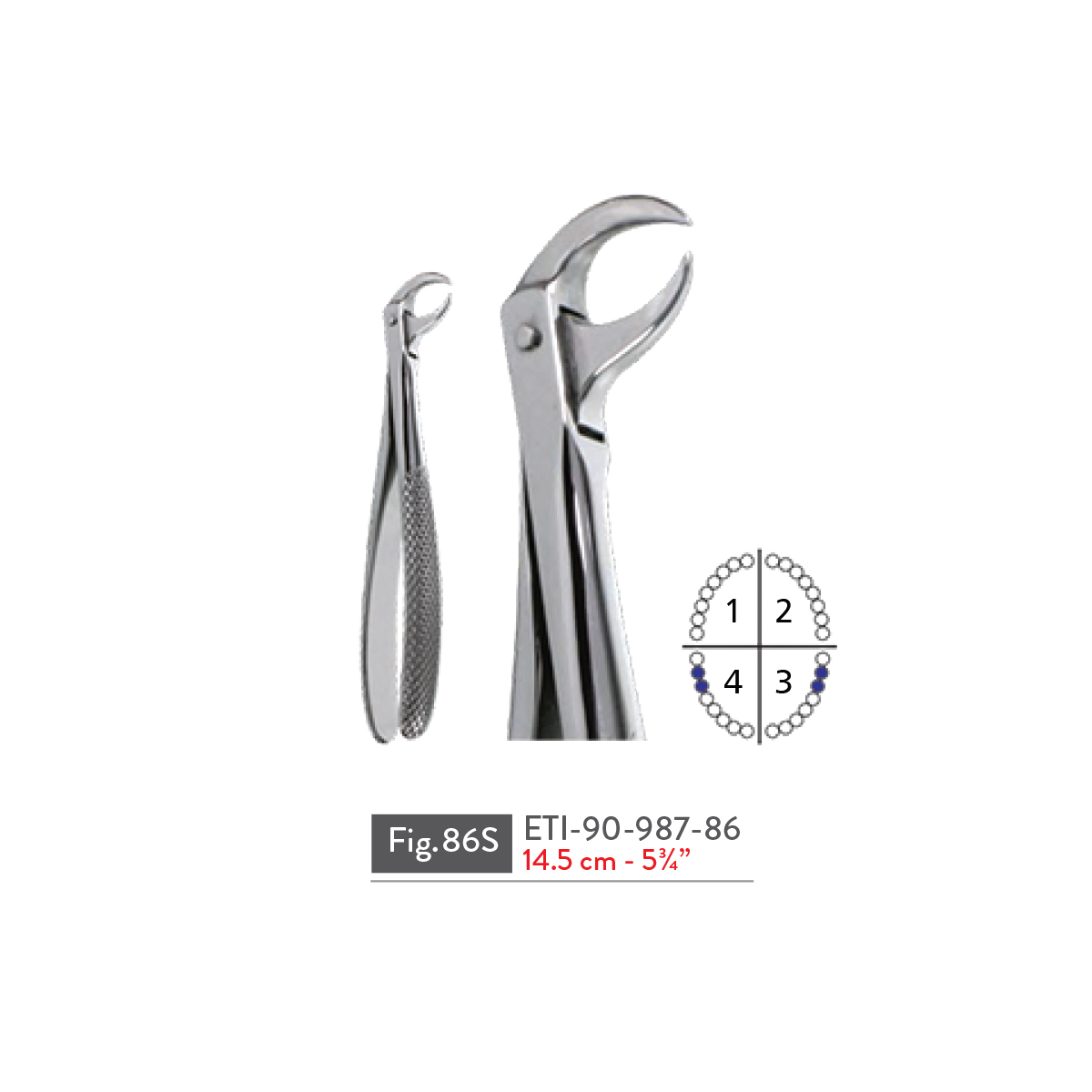 extracting-forceps32