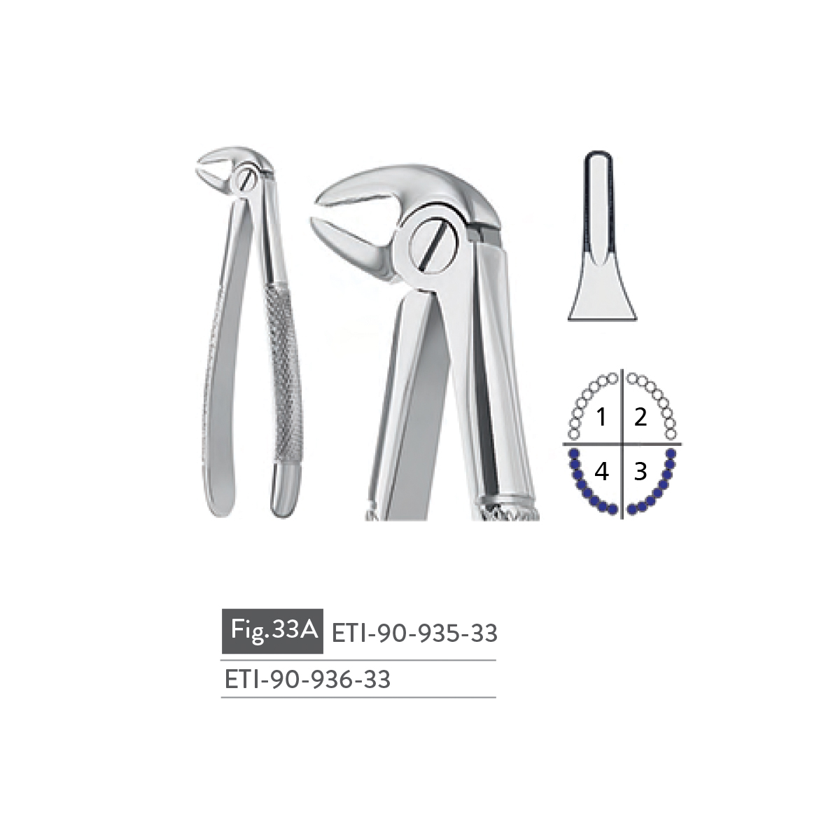 extracting-forceps12