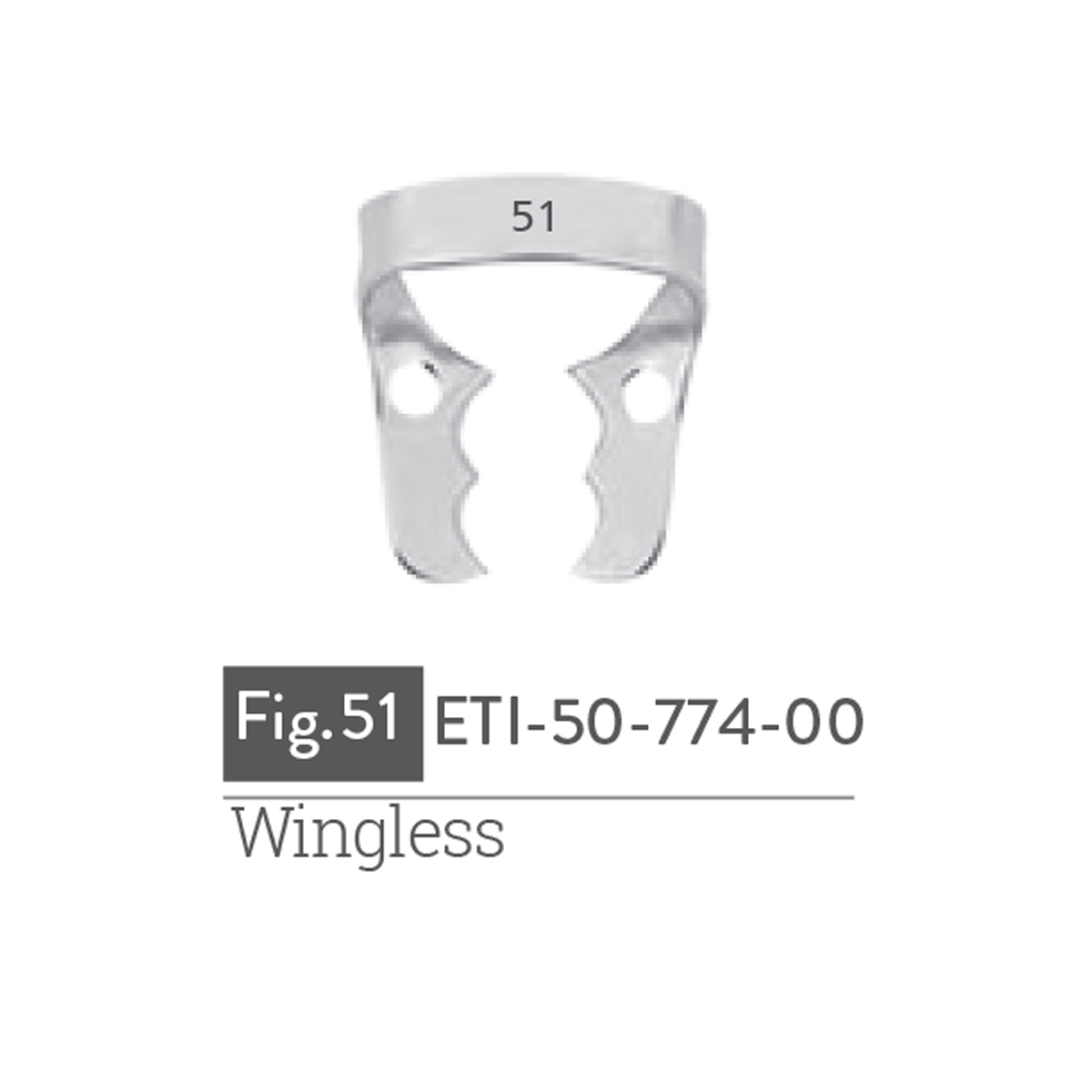 wingless11