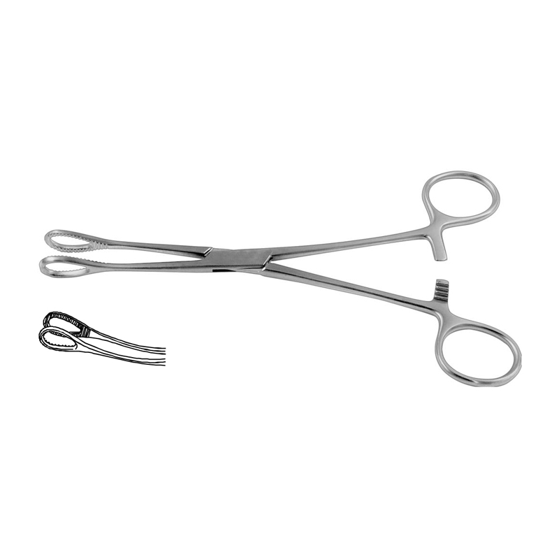 foerster-sponge-holding-forceps-curved-serrated-jaws