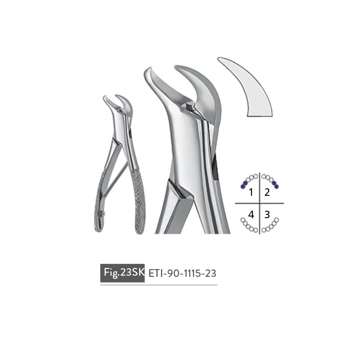 extracting-forceps88