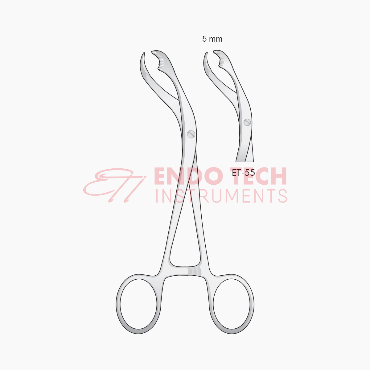 verbrugge-bone-surgery