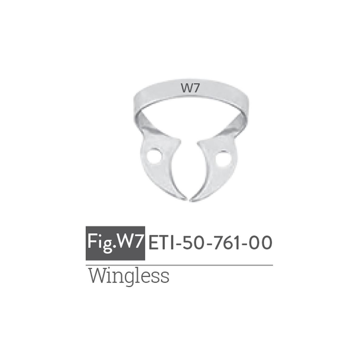 wingless5