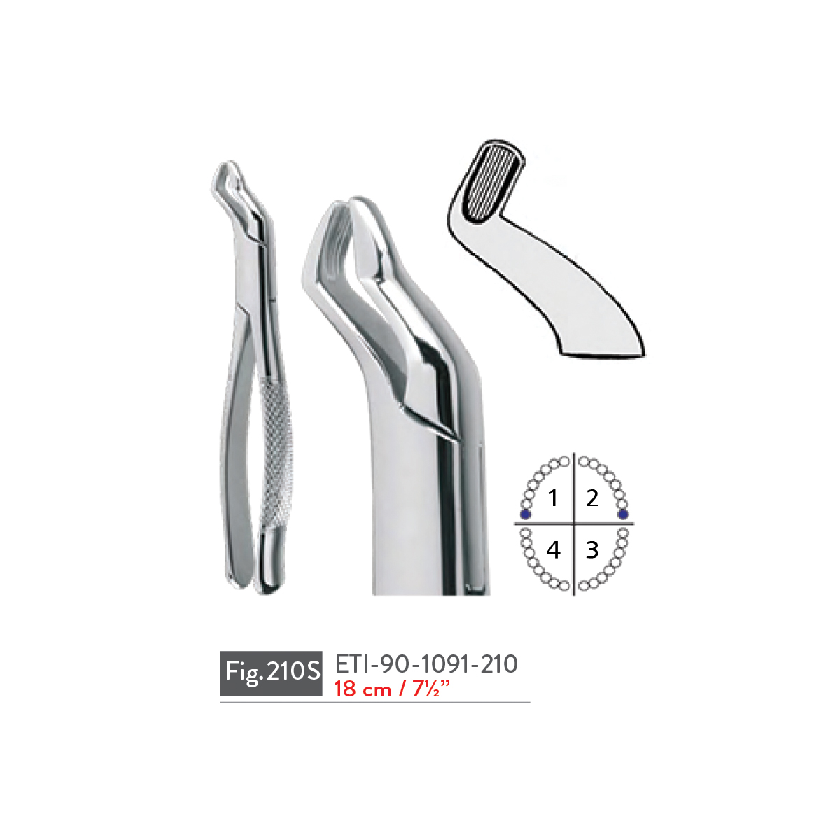 extracting-forceps73