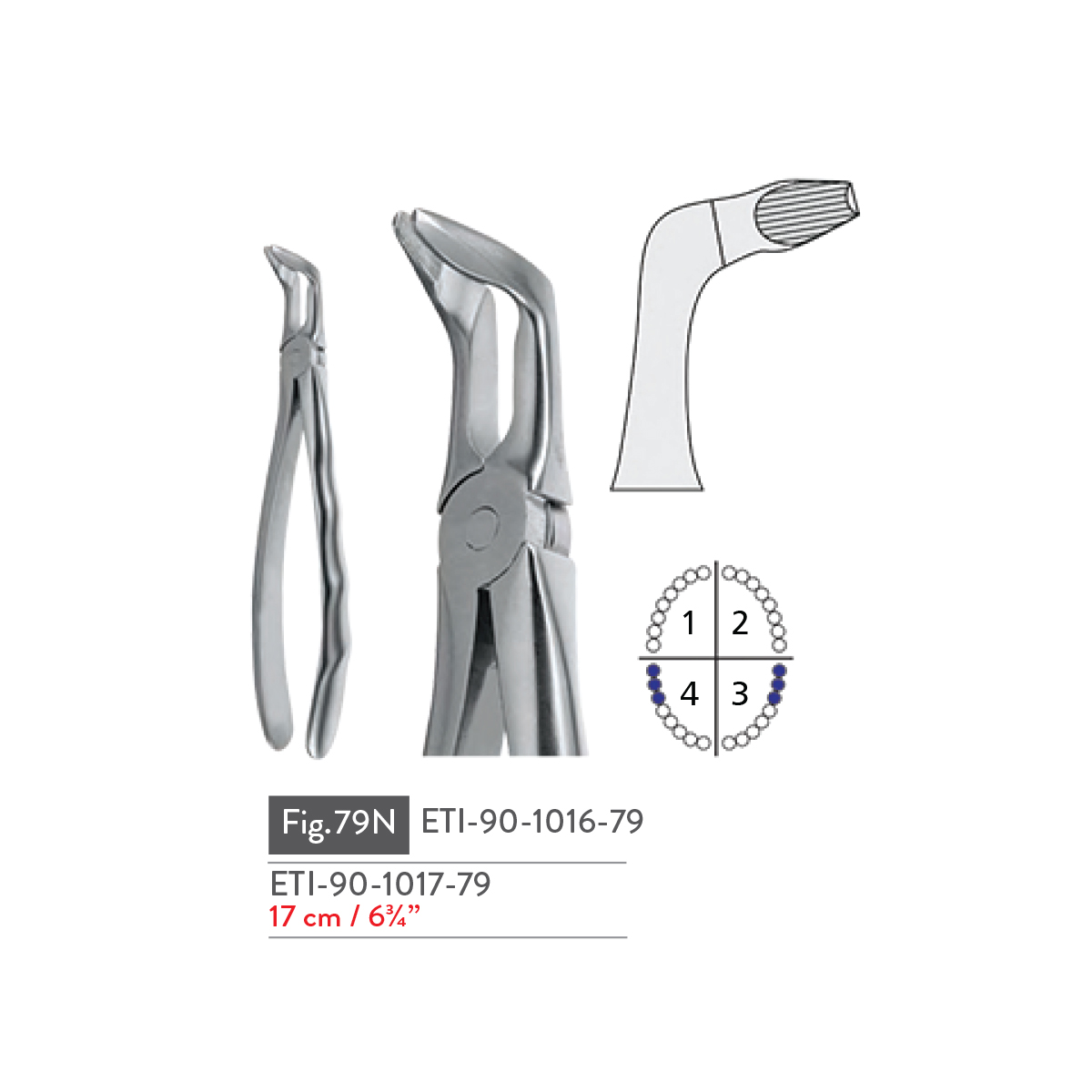 extracting-forceps49