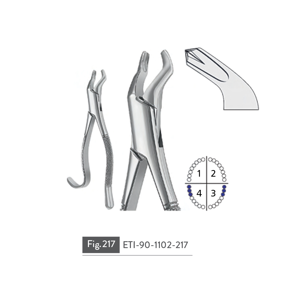 extracting-forceps77