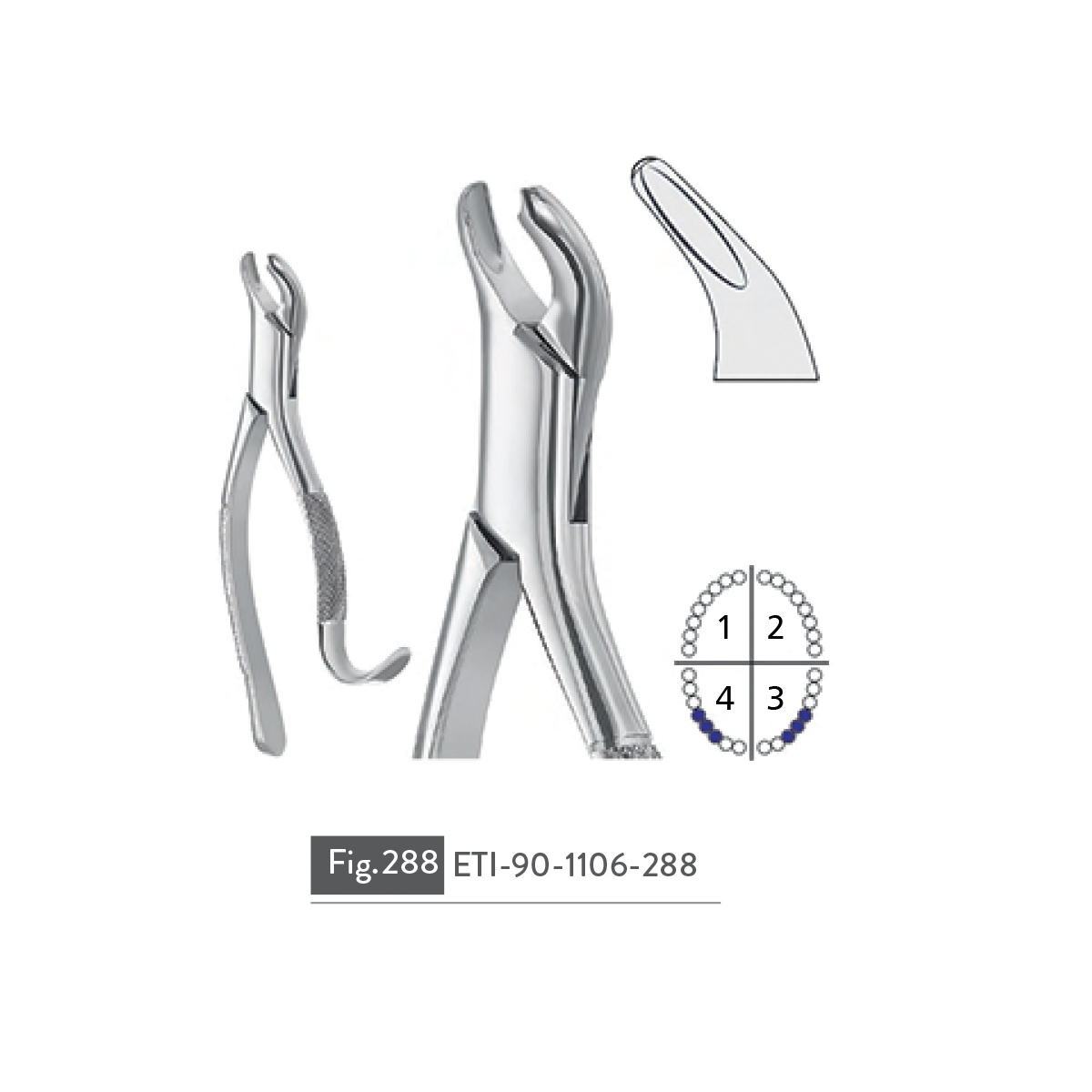 extracting-forceps81