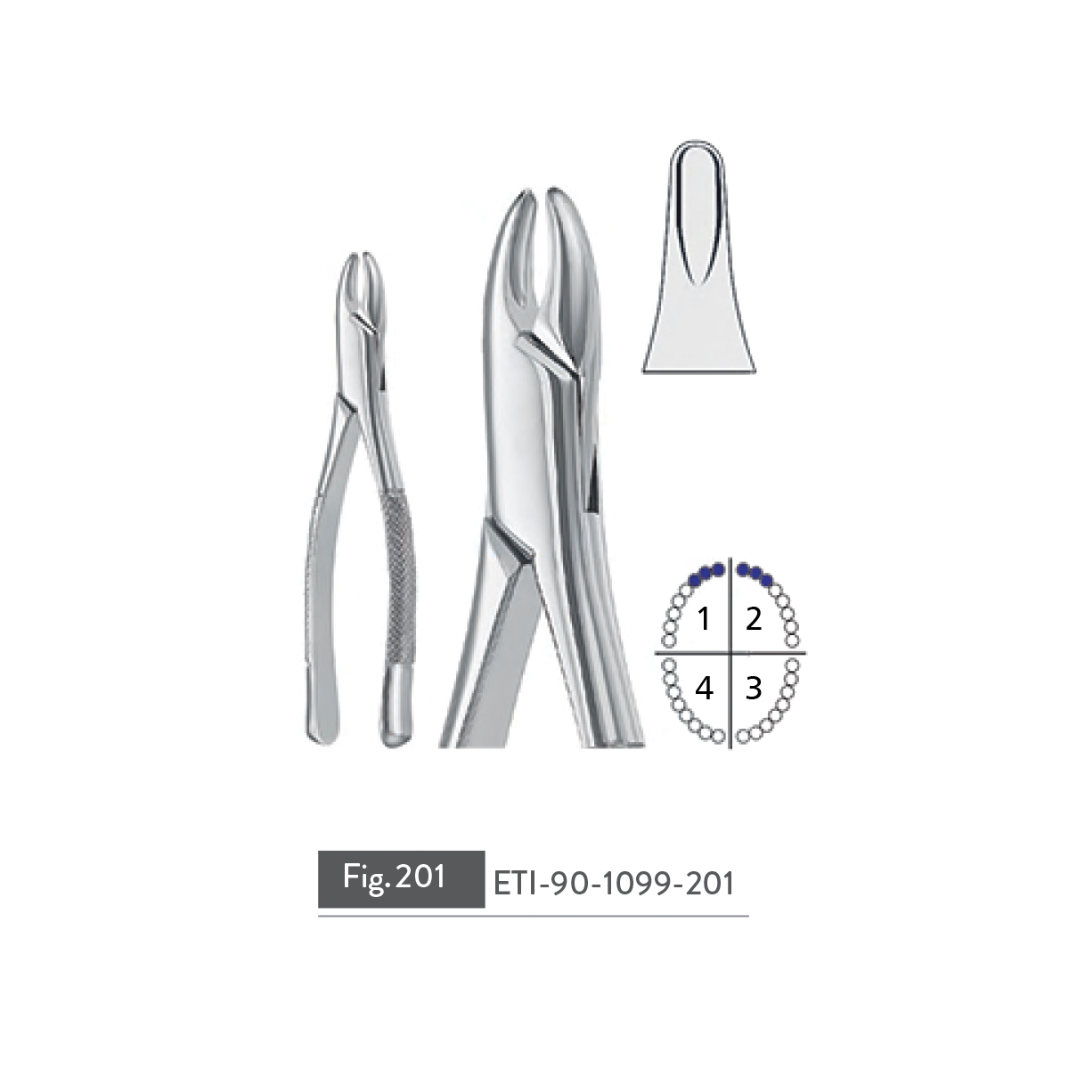 extracting-forceps74