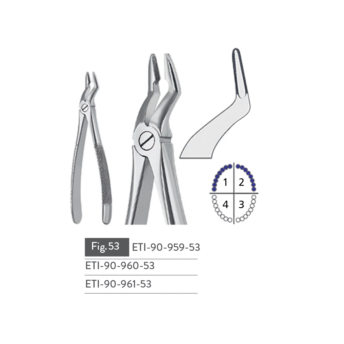 extracting-forceps20