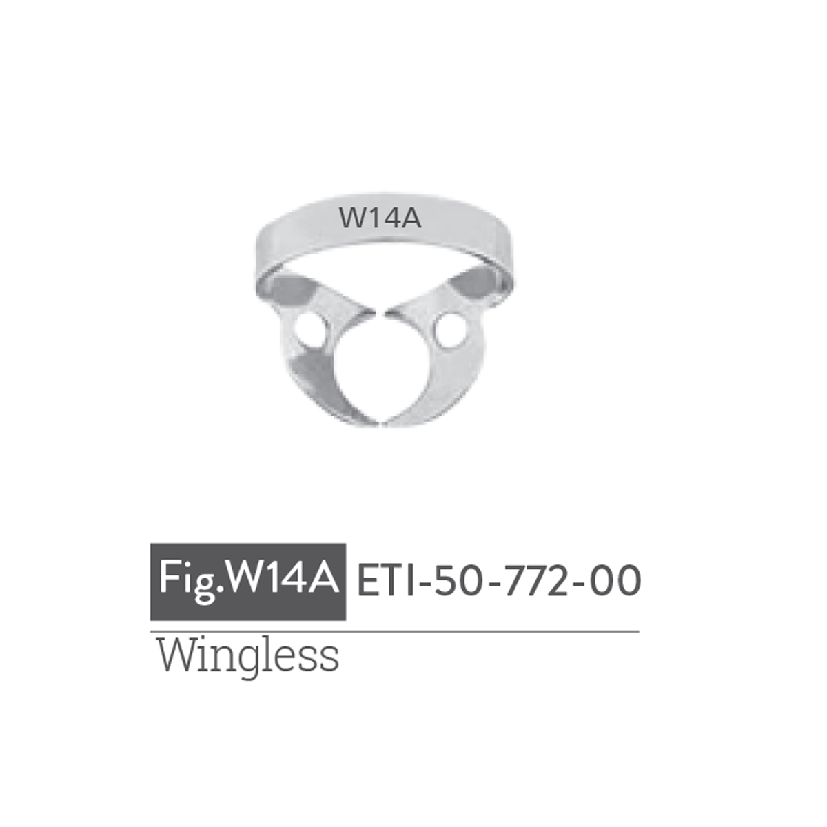 wingless9