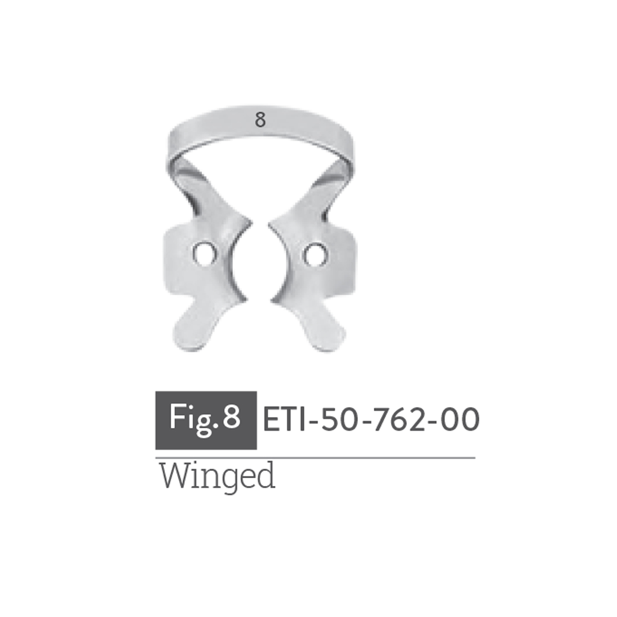 winged12
