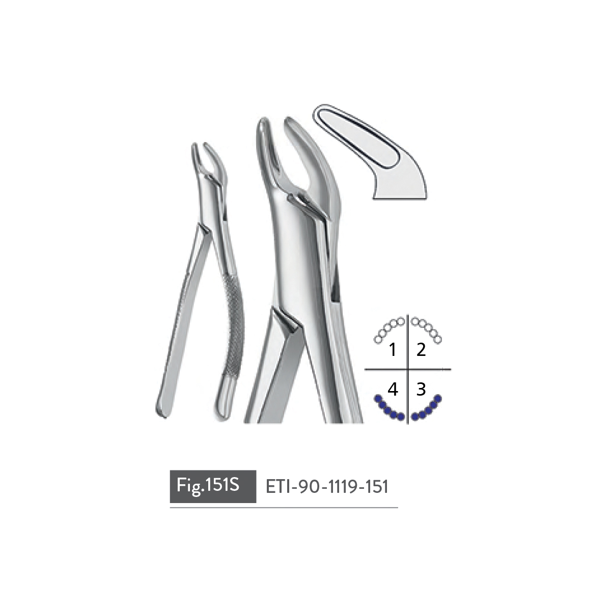 extracting-forceps92