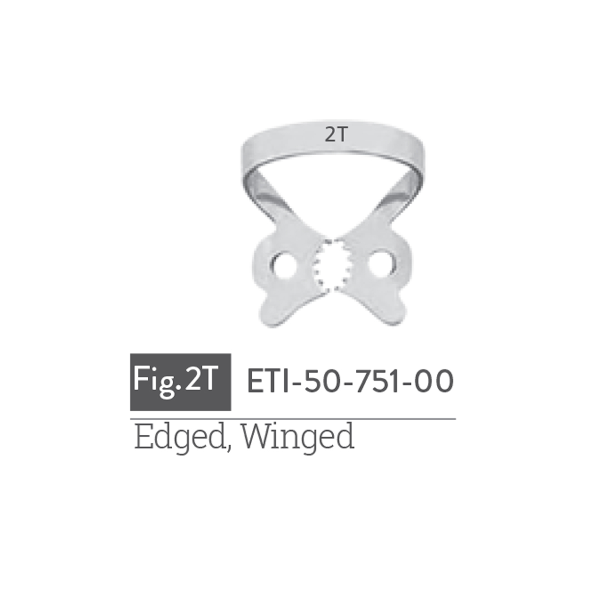 edged-winged1