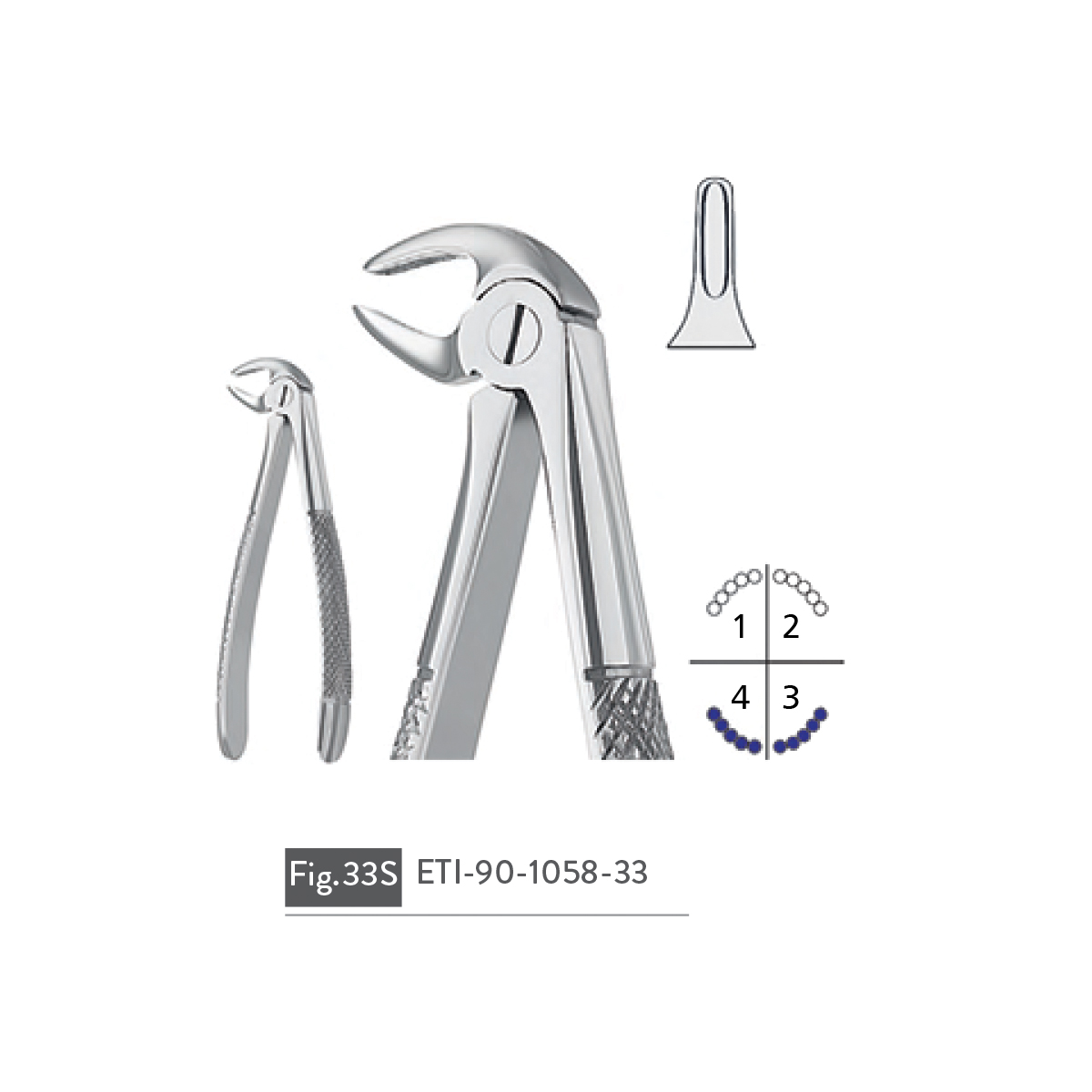 extracting-forceps59