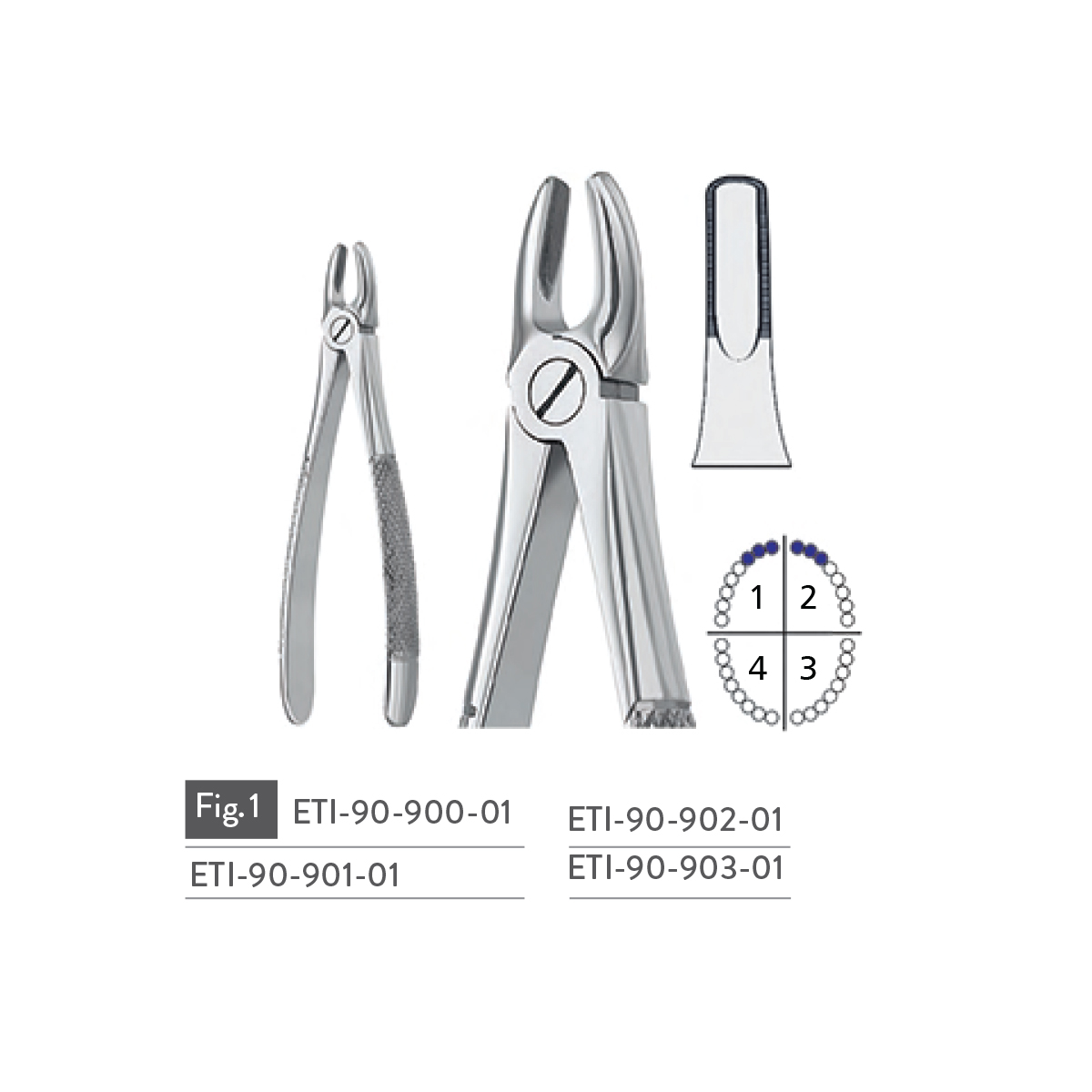 extracting-forceps
