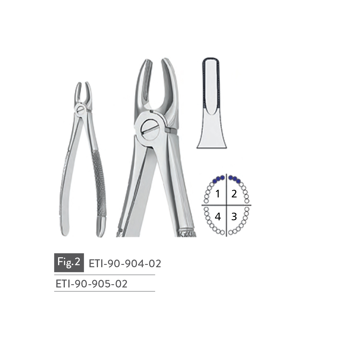 extracting-forceps1