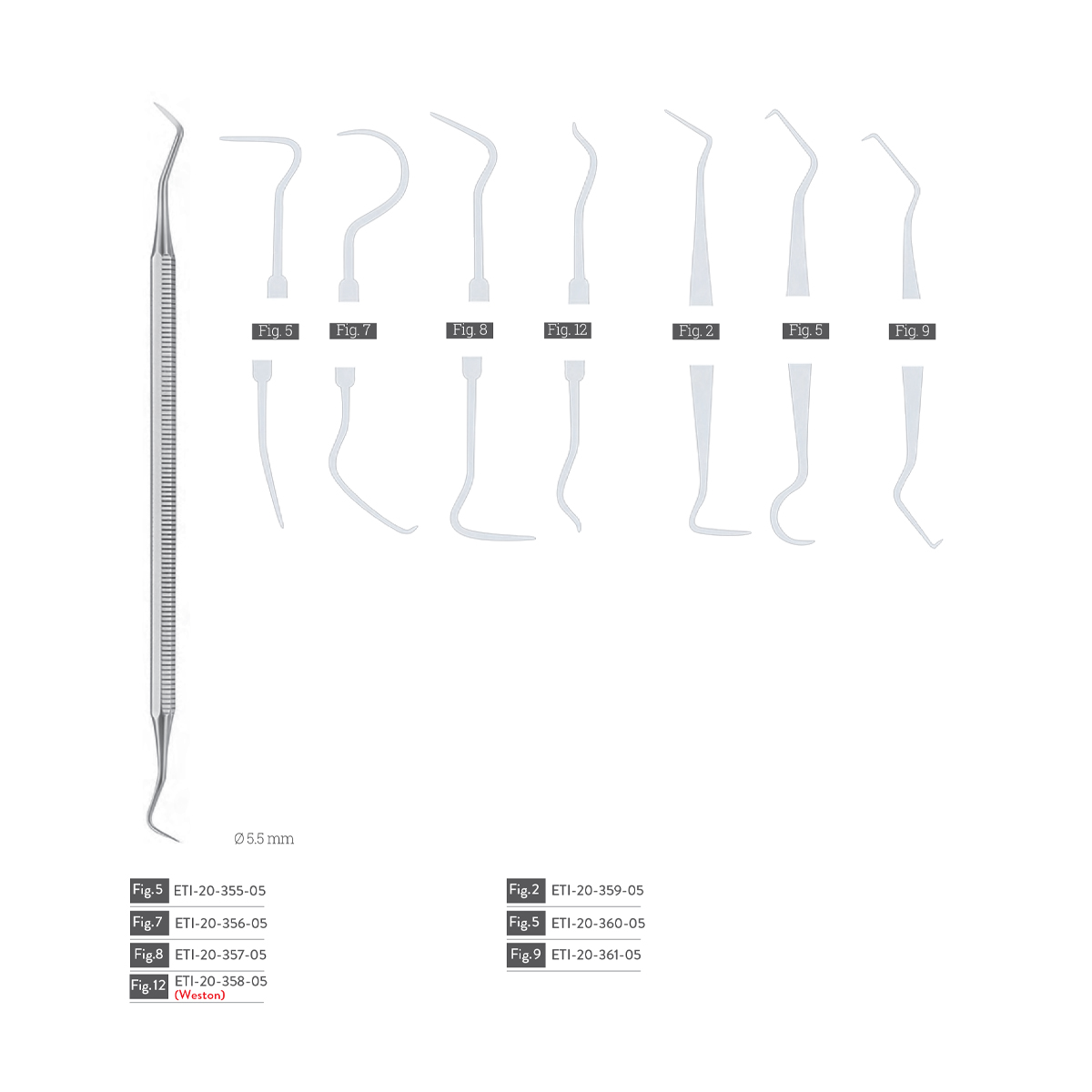 dental-exploreres5