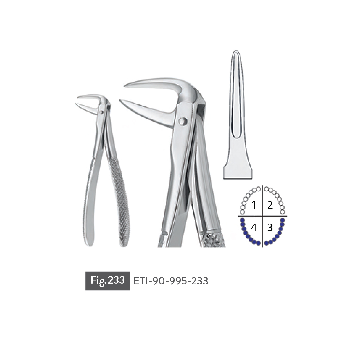 extracting-forceps38
