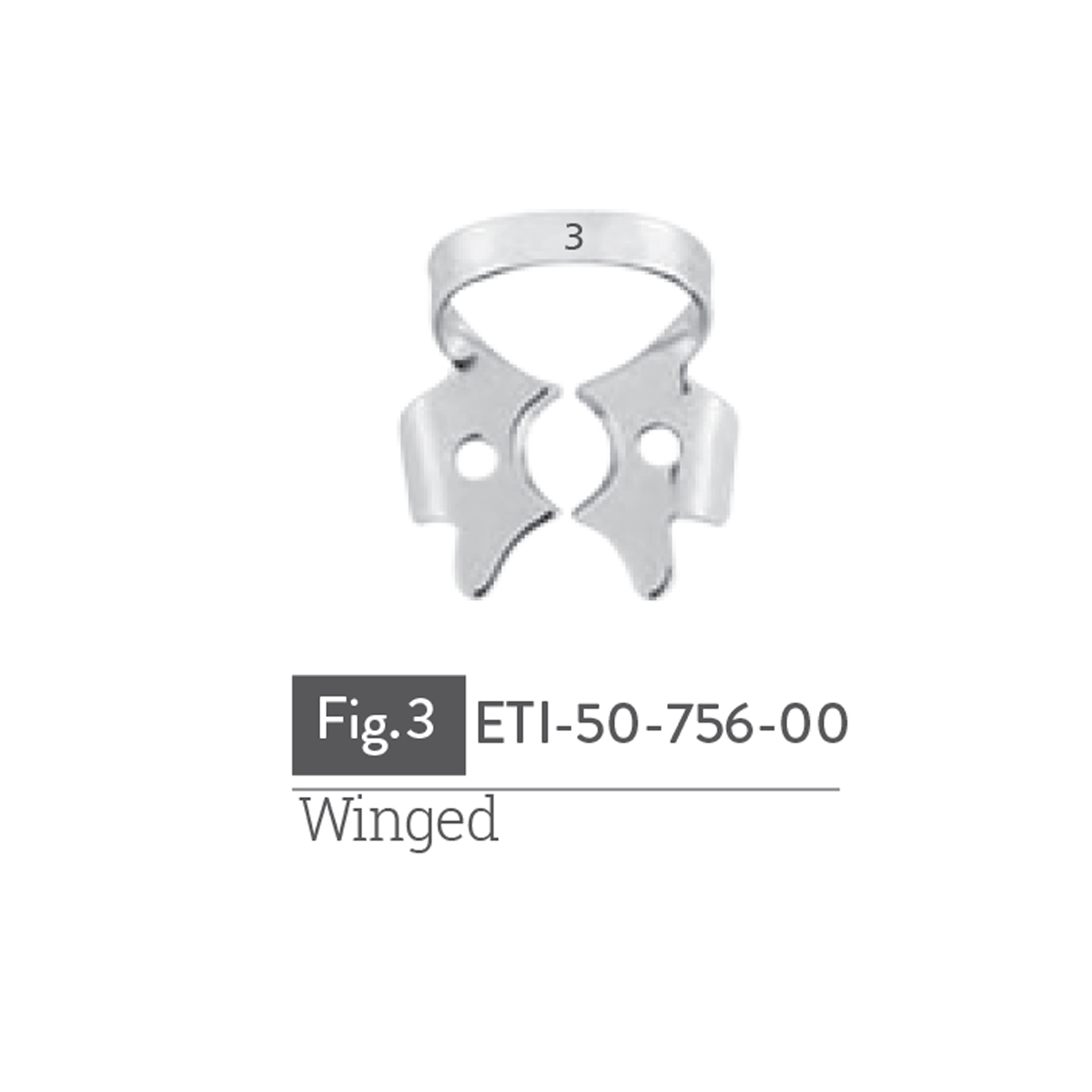 winged9